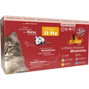 catz finefood Classic Collection I 12 x 85 g