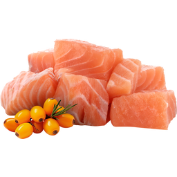 Pawsome! Junior Lachs - 85 g
