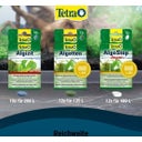 Tetra Algetten - 12 Stk
