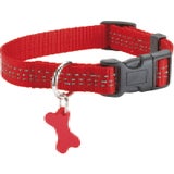 Bobby Halsband Safe Rot