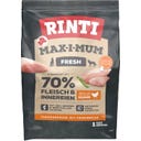 Rinti Max-i-mum grainfree 1kg - Huhn