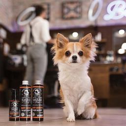 Shampoo per Cani Barbershop - Shiny Groove