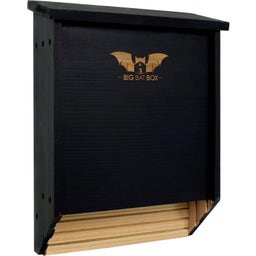 Double Chamber Bat House, Black - 1 pz.