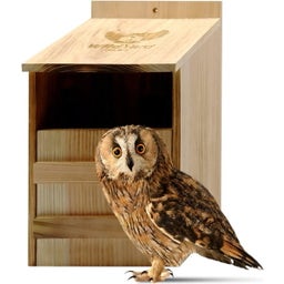 Nesting Box for Owls - 1 pz.