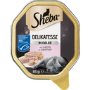 Sheba Delicatezze in Gelatina - Salmone