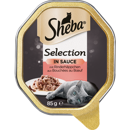 Schale Selection in Sauce mit Rinderhäppchen