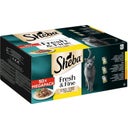 Fresh & Fine szószban - Szárnyas, 50x50g, 2.500 g