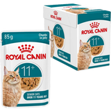 Royal Canin Ageing 11+ in gelei 12x85 g