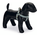 Designed by Lotte Nylon Geschirr Virante Mint, 46-75x2cm - 1 Stk
