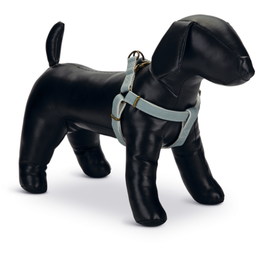 Designed by Lotte Nylon Geschirr Virante Mint, 46-75x2cm - 1 Stk