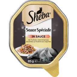 Schale Sauce Speciale mit Truthahn und feinem Gemüse