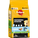 Professional Nutrition Junior mit Geflügel