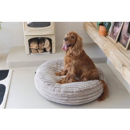Designed by Lotte Hundekissen Reza Rund Beige - 80x20cm