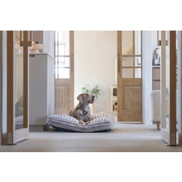 Designed by Lotte Hundekissen Reza Beige - 100x70cm