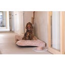 Designed by Lotte Hundekissen Reza Rosa - 100x70cm