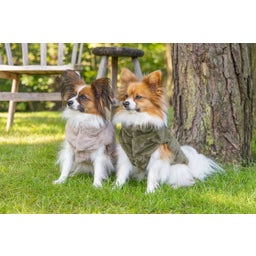 Designed by Lotte Hundemantel Victoria Beige - XS - 20 cm