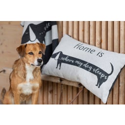 David Fussenegger Huisdierdeken - Teckel - 100 x 140 cm