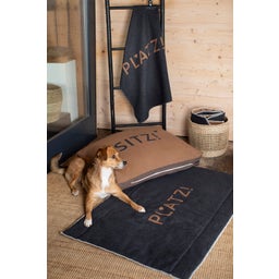 David Fussenegger NOVA Hundekissen Sitz! - 1 Stk