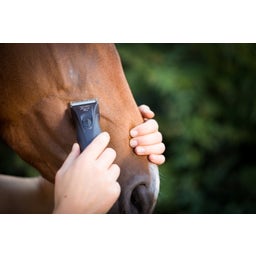 WAHL Professionel Arco Pro Trimmer