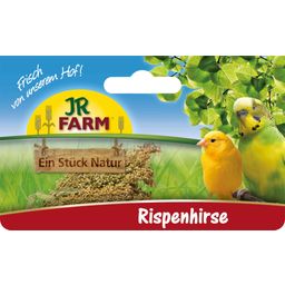 JR Farm Birds - Pannocchie di Miglio