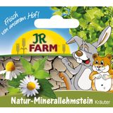 JR Farm Lehmstein Blüte