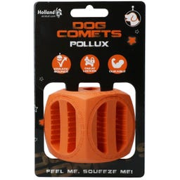 Dog Comets Pollux Orange