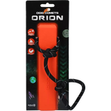 Dog Comets Orion