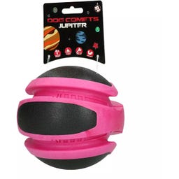 Dog Comets Planets - Rosa