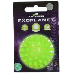 Dog Comets Exoplanet Spiky Ball Green - S