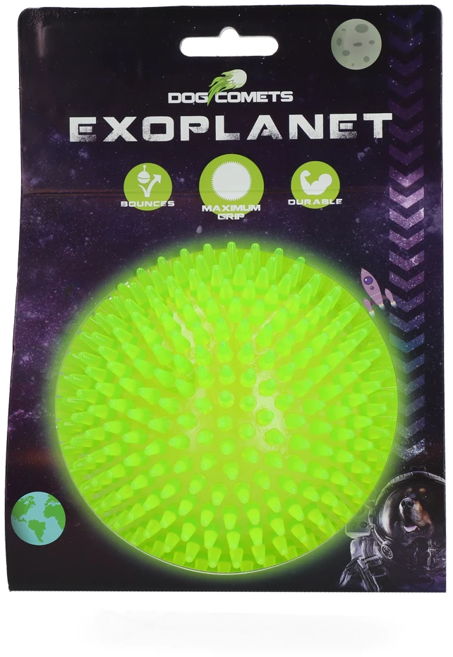 Dog Comets Exoplanet Igelball Grün - L