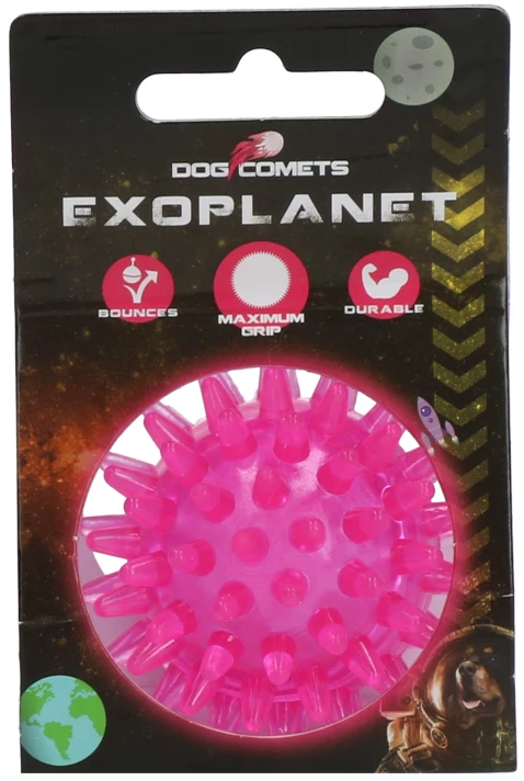 Dog Comets Exoplanet Igelball Rosa - S