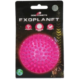 Dog Comets Exoplanet Igelball Rosa - M