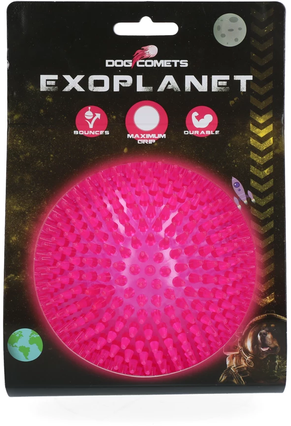 Dog Comets Exoplanet Igelball Rosa - L