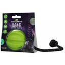 Dog Comets Hale Bopp Green - With rope