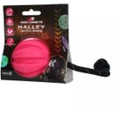 Dog Comets Halley Rosa - Con corda