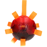 Dog Comets Hypernova