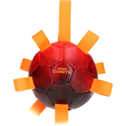 Dog Comets Hypernova - Orange