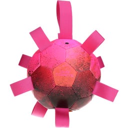 Dog Comets Hypernova - Pink