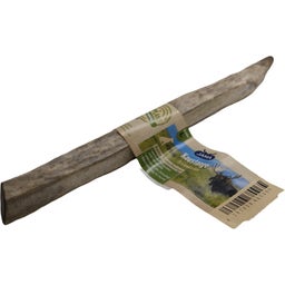 Jama Elch Geweihstück halb - L (90-120g)