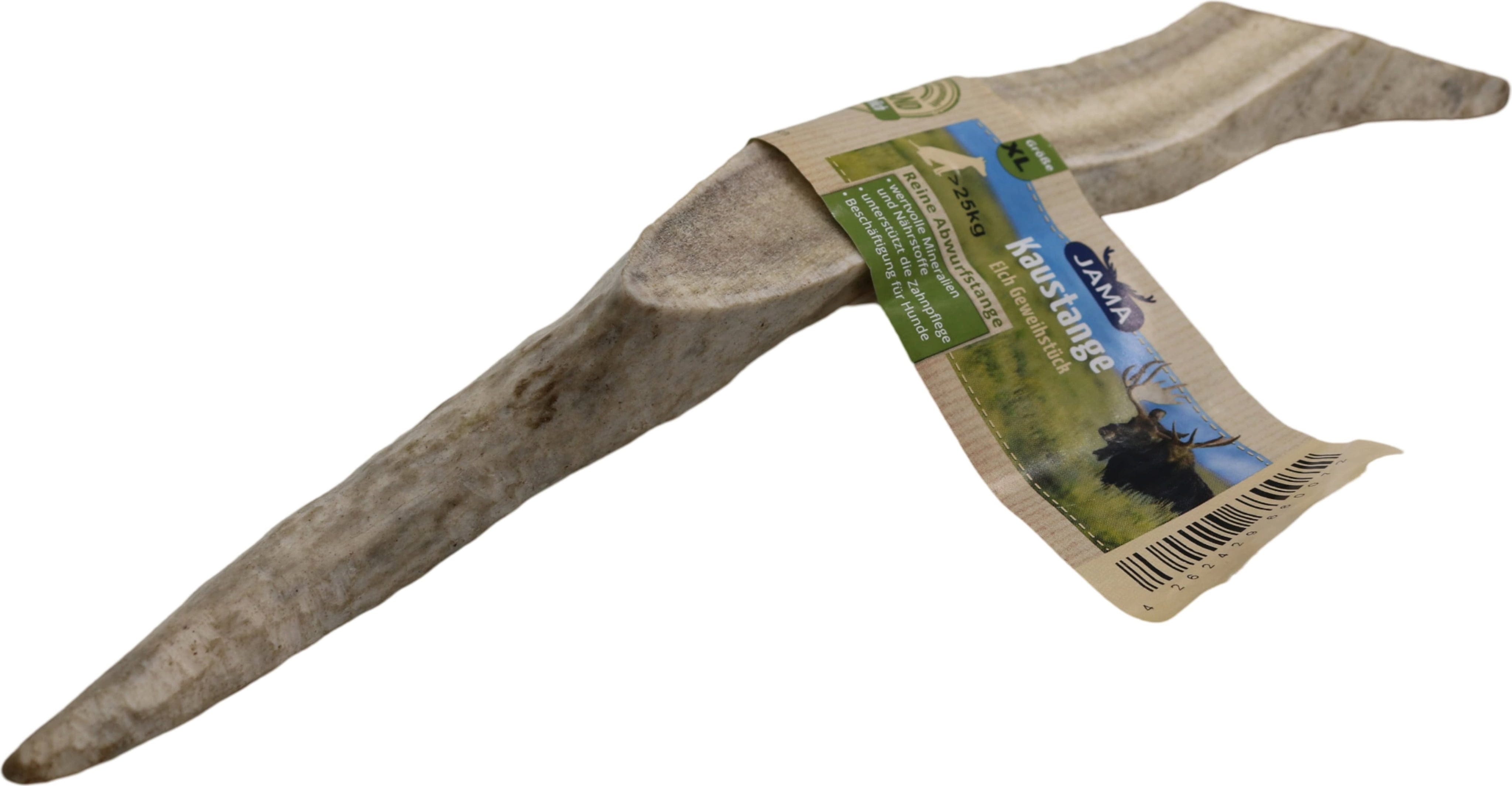 Jama Elch Geweihstück halb - XL (120-150g)