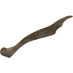 Jama Rentier Geweihstück halb - M (60-90g)