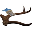 Jama Pezzo di Corna di Renna, Intero - XL (120-150 g)