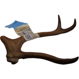 Jama Pezzo di Corna di Renna, Intero - XL (120-150 g)