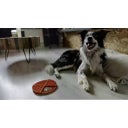 Eat Slow Live Longer Likmat Dimensions Circle - Rood