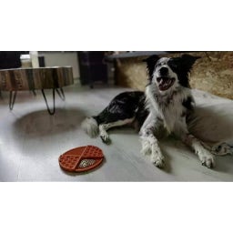 Eat Slow Live Longer Likmat Dimensions Circle - Rood