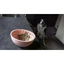 Live Longer - Podloga za lizanje Wobble Bowl - Roza