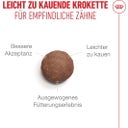 Royal Canin Ageing 15+ - 2 kg