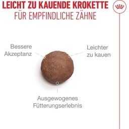 Royal Canin Ageing 15+ - 2 kg