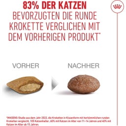 Royal Canin Ageing 15+ - 2 kg