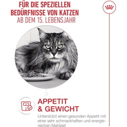 Royal Canin Ageing 15+ in Soße 12x85 g - 1.020 g